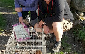 Sue and Darren collect the otter